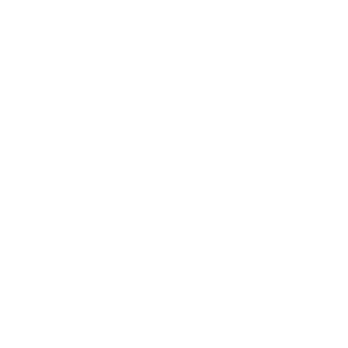 The Division 2