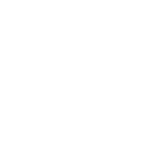 The Division- Survival